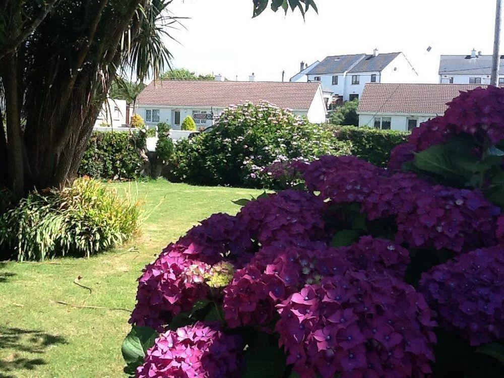 The Old Cable Historic House & Seafood Restaurant Waterville Exterior foto